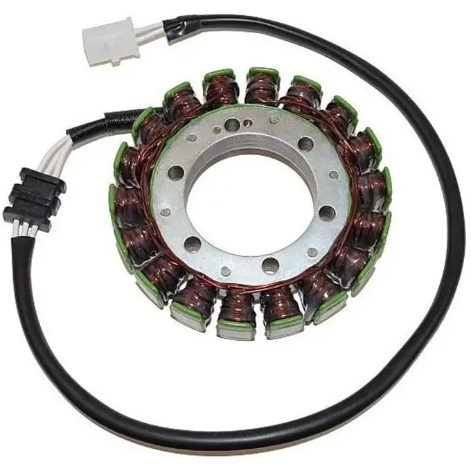 Originele aanpasbare motor dynamo Electrosport Kawasaki