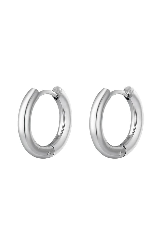 Oorbellen - Earring - Silver- Stainless Steel - Zilver - Yehwang