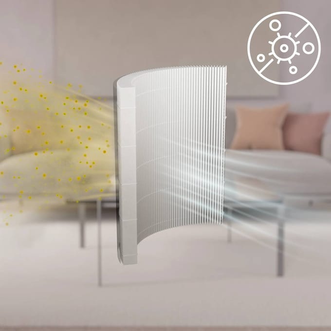 AEG EFFBTH4 Pollen Care Filter 9009238305