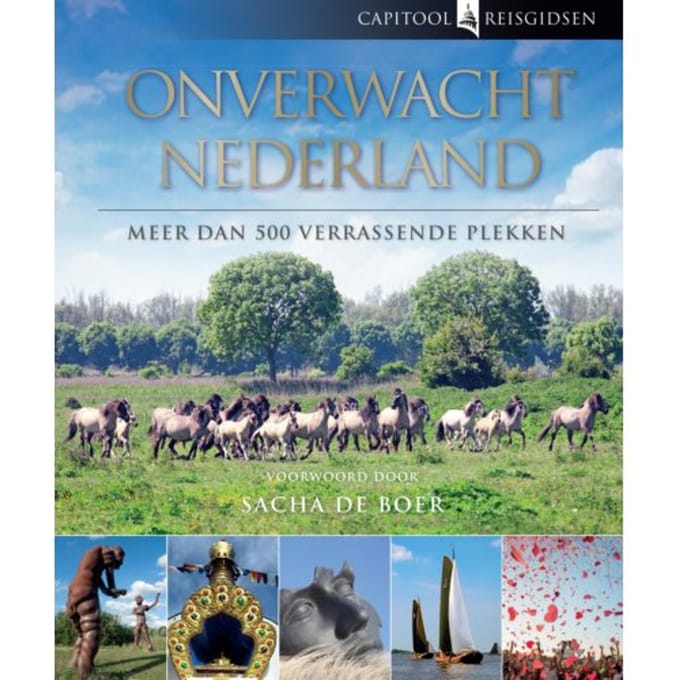 Onverwacht Nederland - Capitool Reisgidsen - Bartho Hendriksen