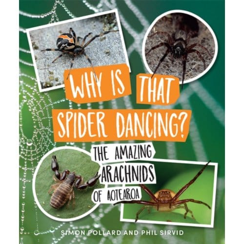 Why Is That Spider Dancing? - Dr. Simon Pollard