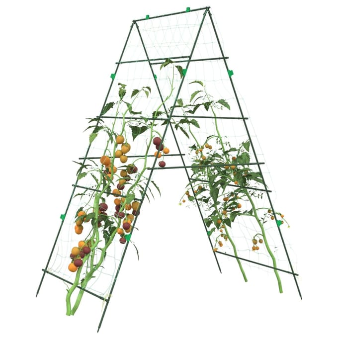 vidaXL - Plantenklimrekken - 2 - st - A-frame - staal