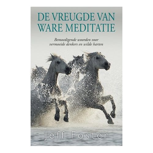De Vreugde Van Ware Meditatie - Jeff Foster