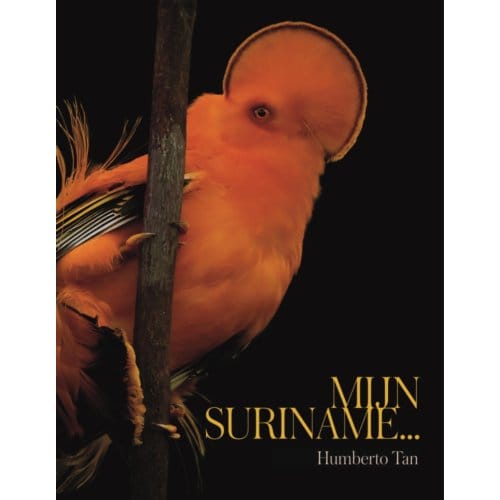 Mijn Suriname