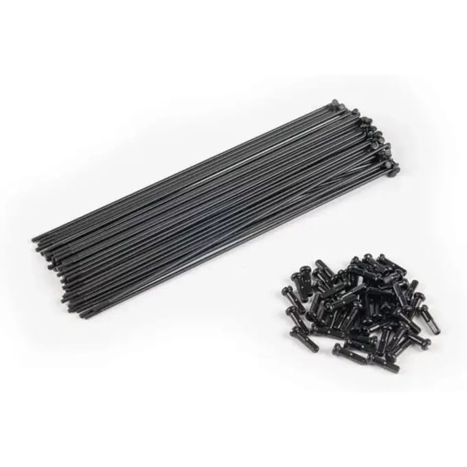 Rayon Eclat PG (x40)