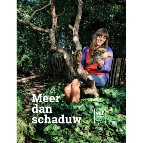 Meer Dan Schaduw - Greet Tijskens