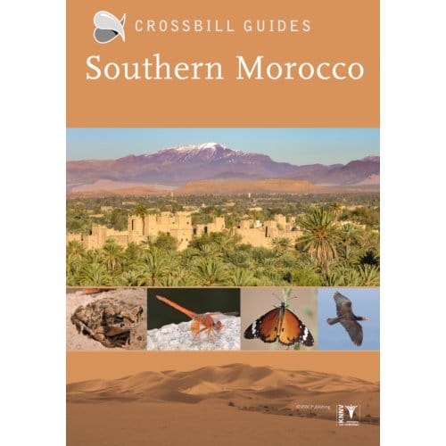 Crossbill Guide Southern Morocco - Crossbill Guides - Martin Pitt