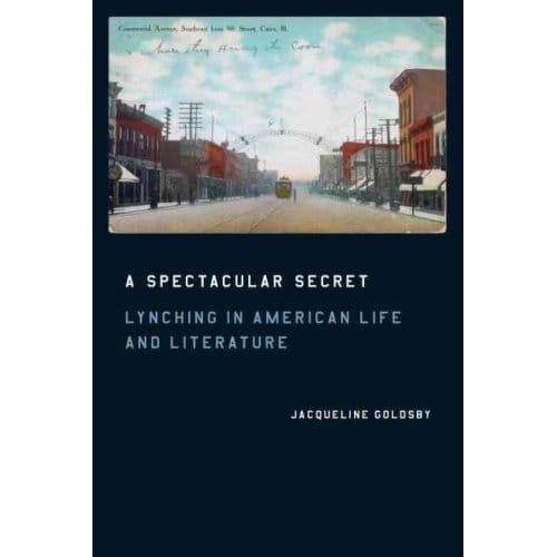 A Spectacular Secret - Goldsby, Jacqueline