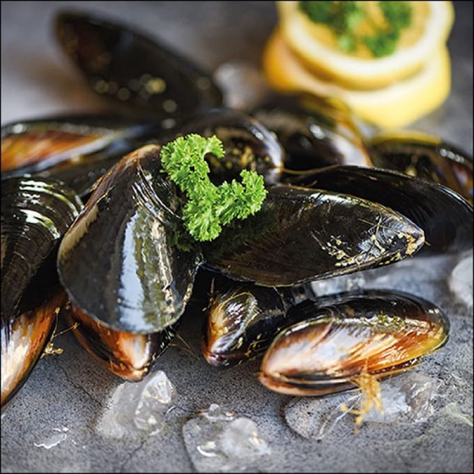 Ambiente - Servetten - Mossels - 3-laags - 100% FSC - 33x33cm