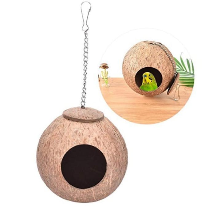 1 mangeoire à oiseaux en coquille de noix de coco naturelle avec trou de 6 cm beige