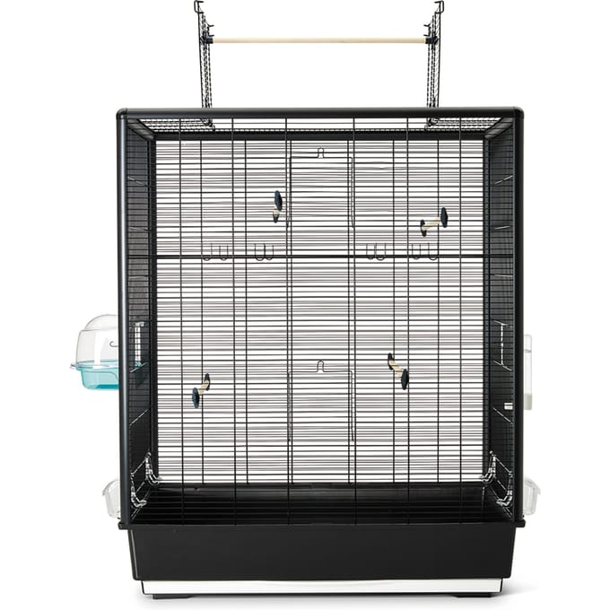 Savic Primo 60 Open Empire 80x50x115cm Vogel