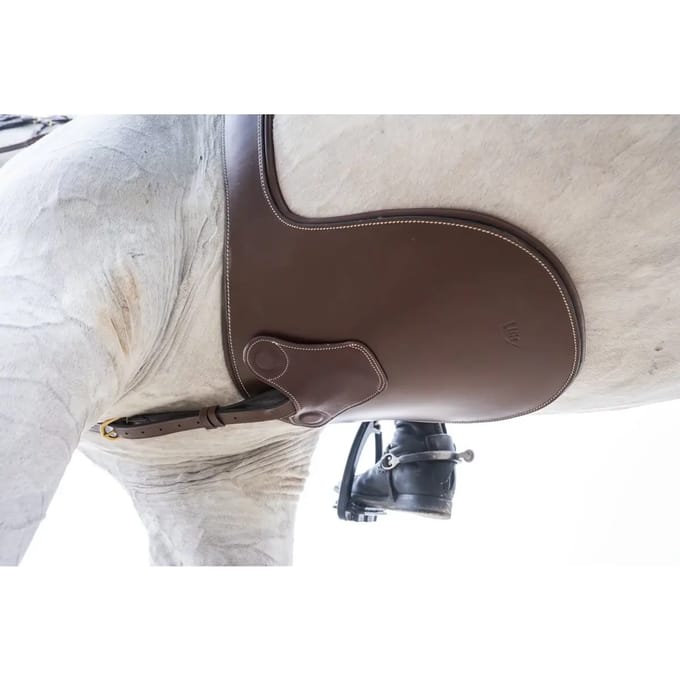 Paardenriem met magneten HFI