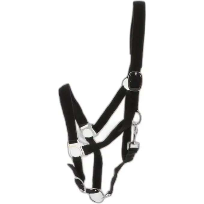 Halter Norton Doublé néoprène
