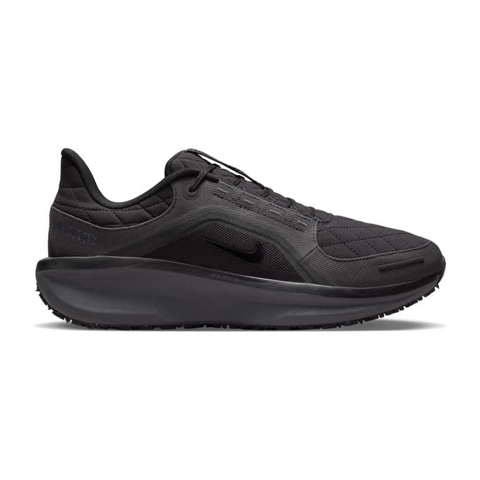 Hardloopschoenen Nike Winflo 11 Gore-Tex