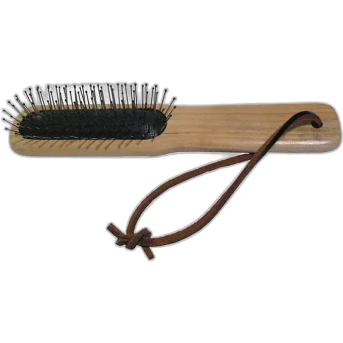 Metalen borstel van paardenhaar Borstiq