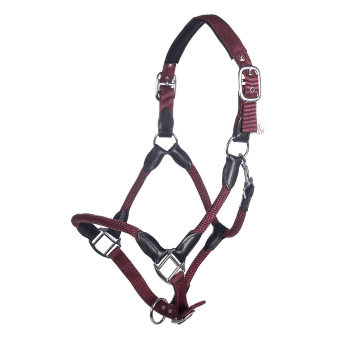 Halster voor paarden HKM Carlotta