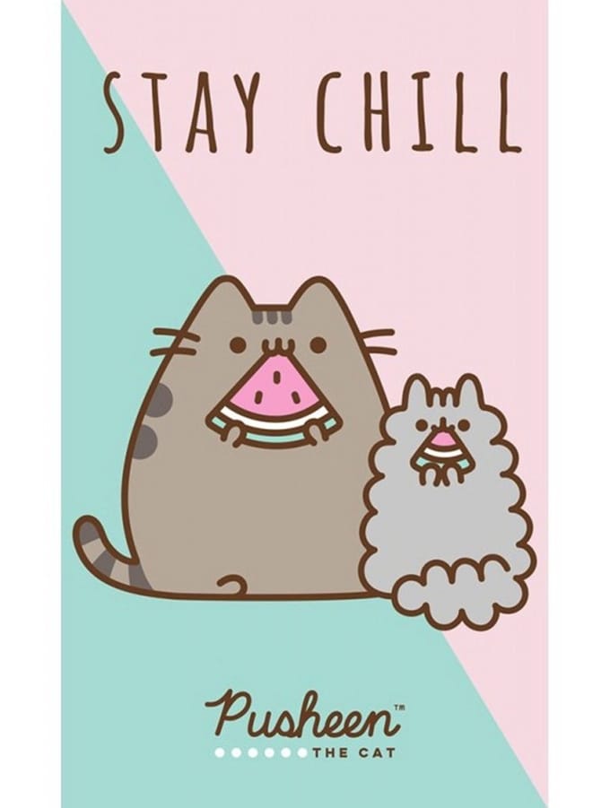 Pusheen Stay Chill handhanddoek, gezichtshanddoek, handdoek 30x50 cm