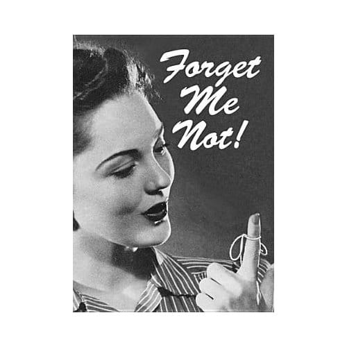 Forget Me Not! Notebook - Dover
