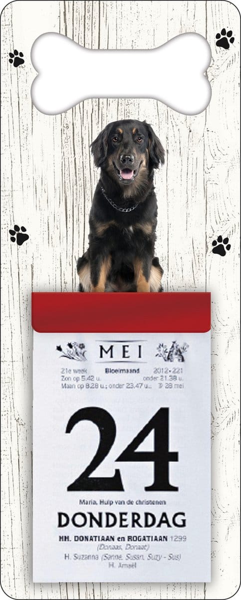 Scheurkalender 2027 Hond: Hovawart