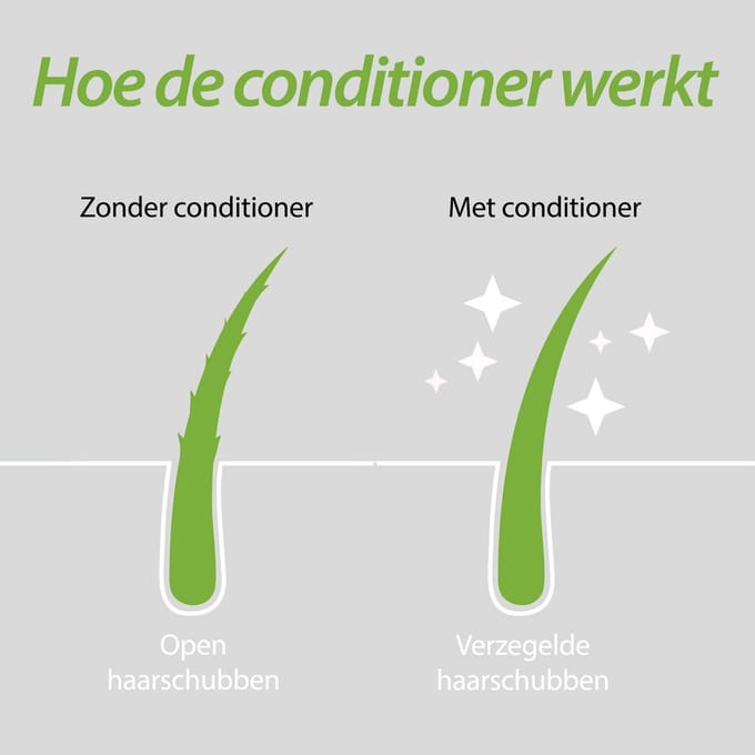 Plantur 39 - Haarkuur Gekleurd Haar - 150 ml