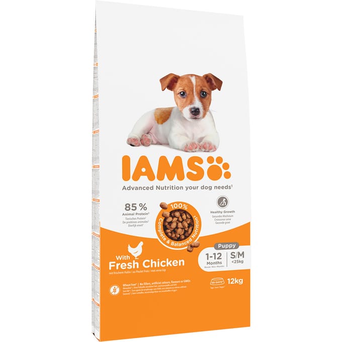 IAMS Advanced Nutrition Puppy & Junior Small / Medium Kip Hondenvoer - 12 kg