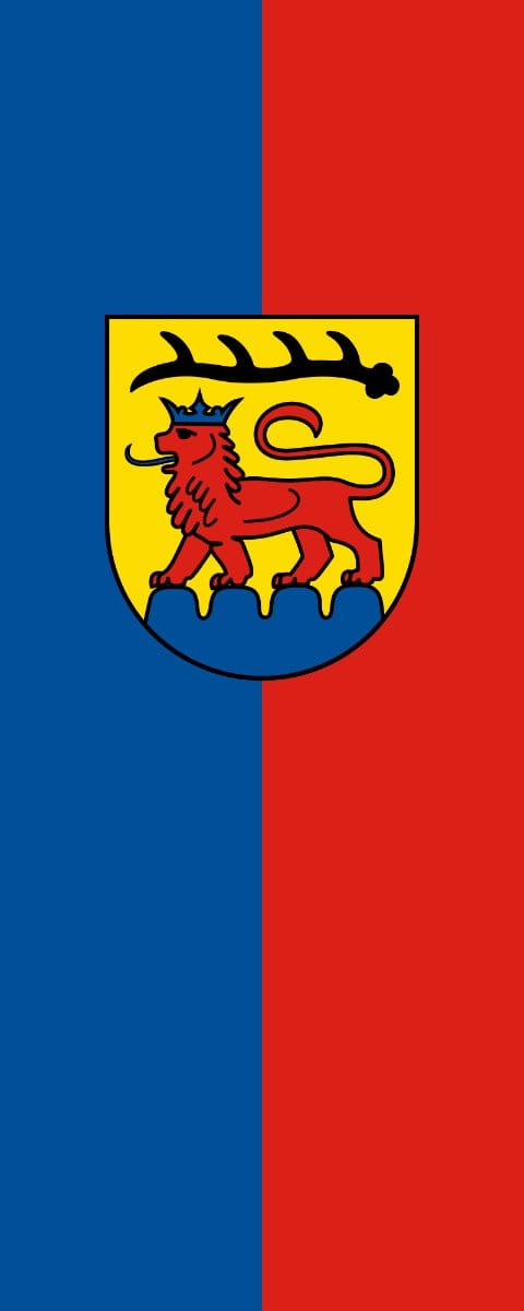 Vlag Vaihingen 100x150cm