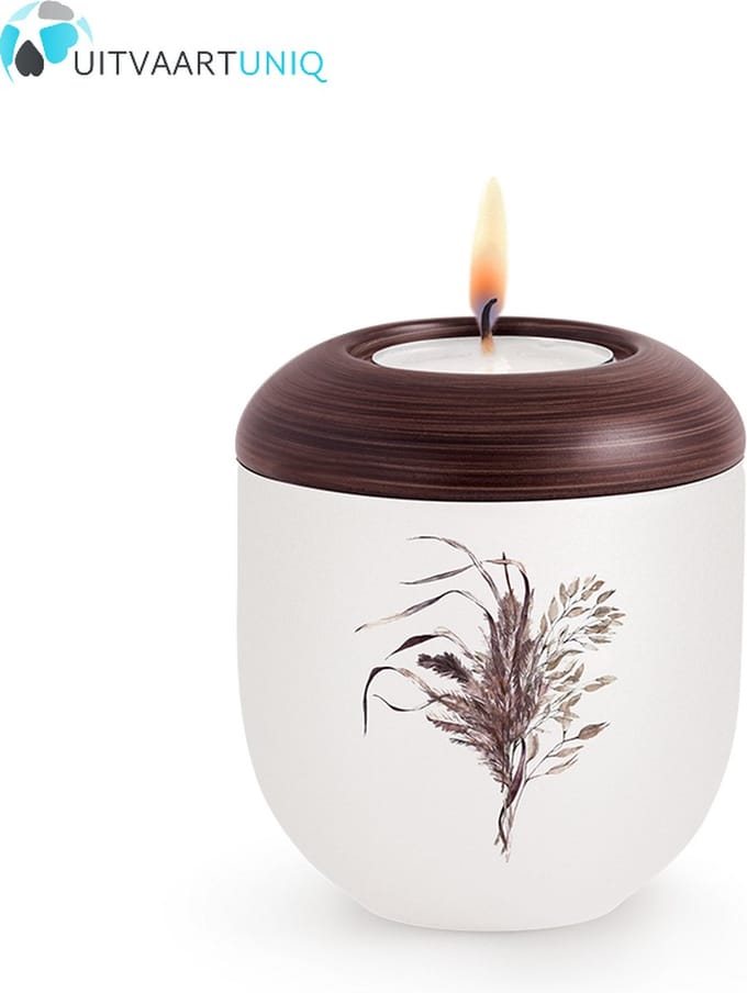 Mini urn Parlemoer gras – met lichtje