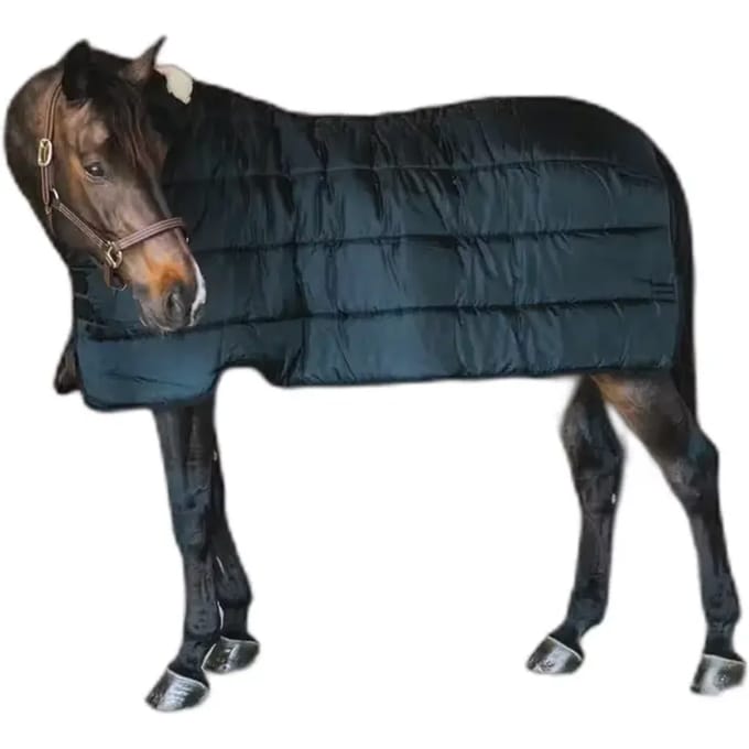 Outdoor paardendeken Kentucky Pro 100g
