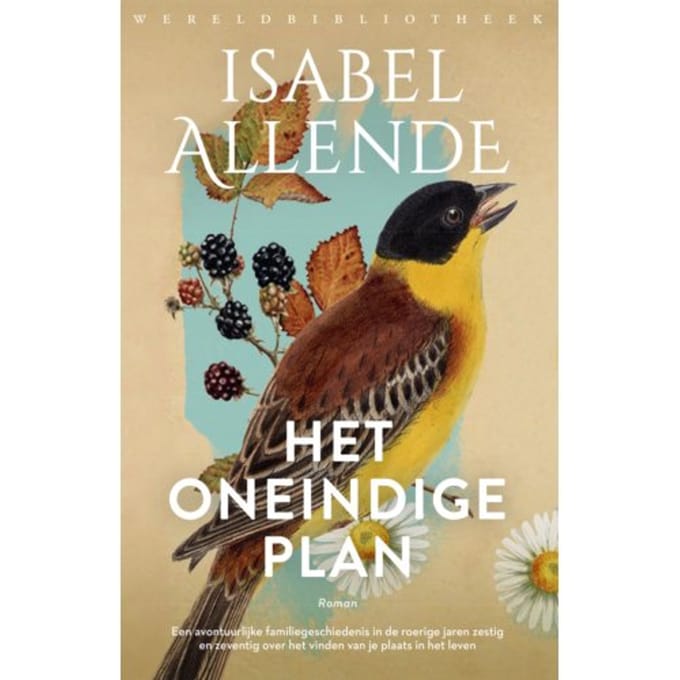 Het Oneindige Plan - Isabel Allende