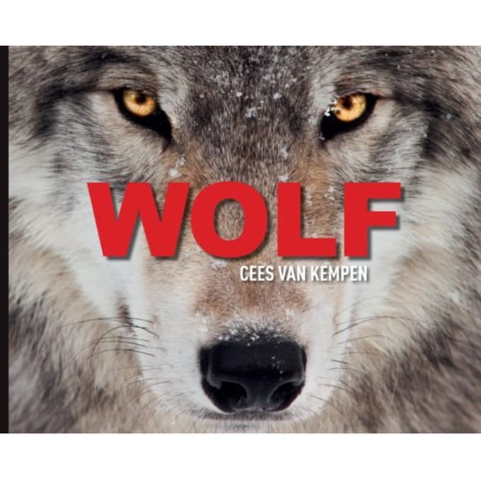 Wolf - Cees van Kempen