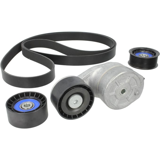Poly V-riem set DAYCO KPV030HD