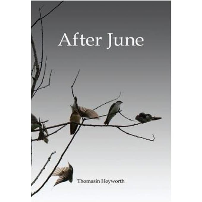 After June - Thomasin Heyworth