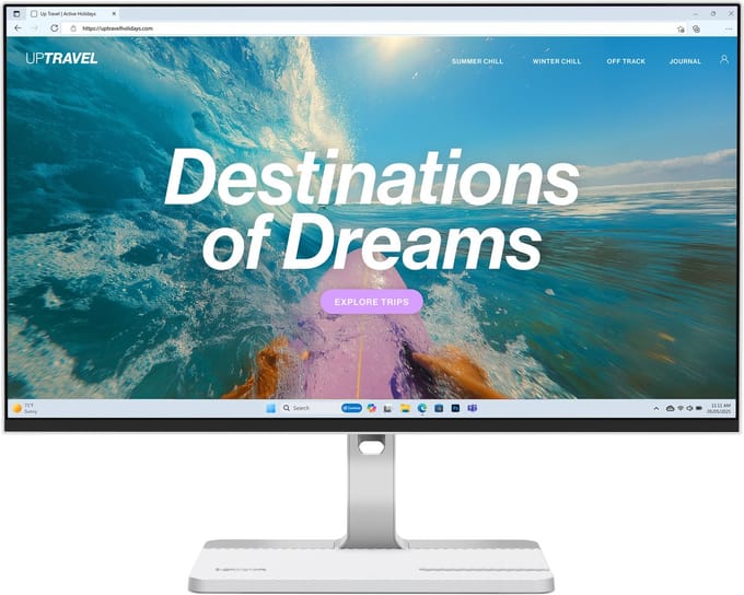 22" Lenovo L24d-4e - LED monitor - Full HD (1080p) - 22"