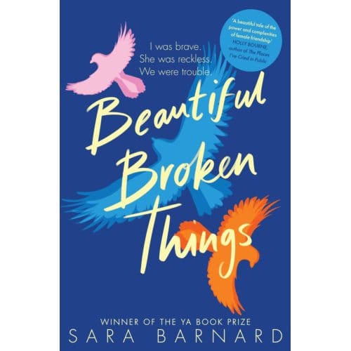 Beautiful Broken Things - Sara Barnard