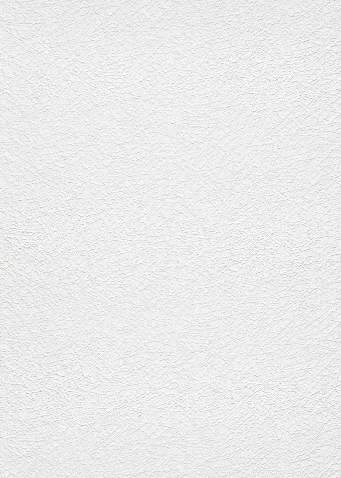 Erismann Vinylbehang 11039-01 - RollOver27 - Overschilderbaar Wit - 106cm x 25,00m