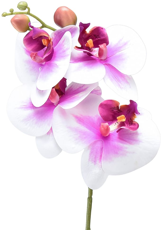 Orchidee Kunst Phalaenopsis 4 Bloemen Wit Roze 72cm