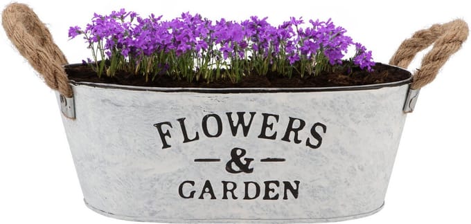 DK Design Plantenpot/bloempot teil Jardin- zink - wit - L26 x D17 x H11 cm