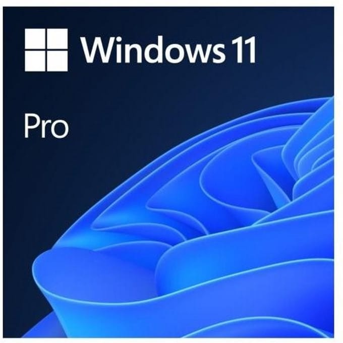 Mme Windows 11 Professionnel 64 bits Polonais 1 Paquet DVD OEM