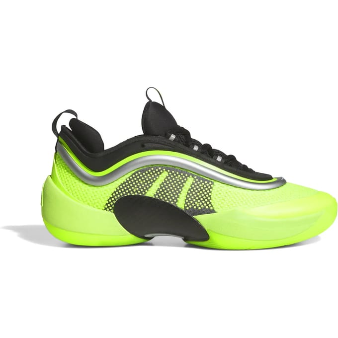 Basketbalschoenen adidas D.O.N. Issue 6