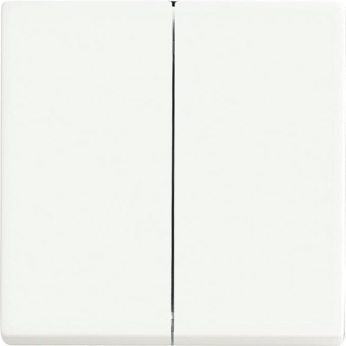 ABB Busch-Jaeger Schakelelement/Centrale Plaat - 2CKA006730A0140