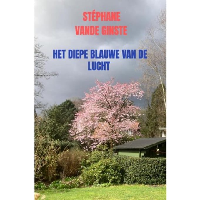 Het Diepe Blauwe Van De Lucht - Stéphane Vande Ginste