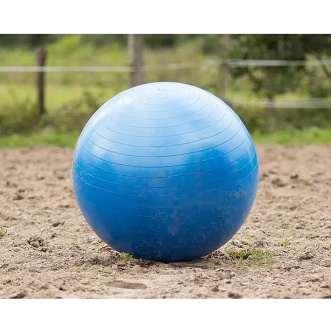 QHP Paardenvoetbal Blauw - One size