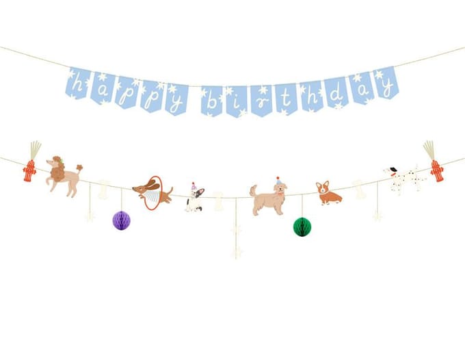 Slinger Hond "happy birthday"