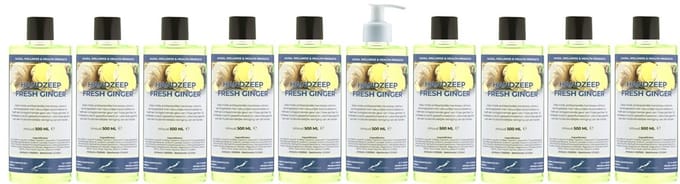 Handzeep Fresh Ginger 500 ml - set van 10 stuks - met gratis pomp - Voordeelverpakking