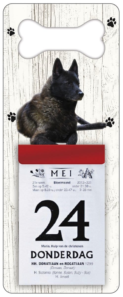 Scheurkalender 2027 Hond: Noorse Elandhond
