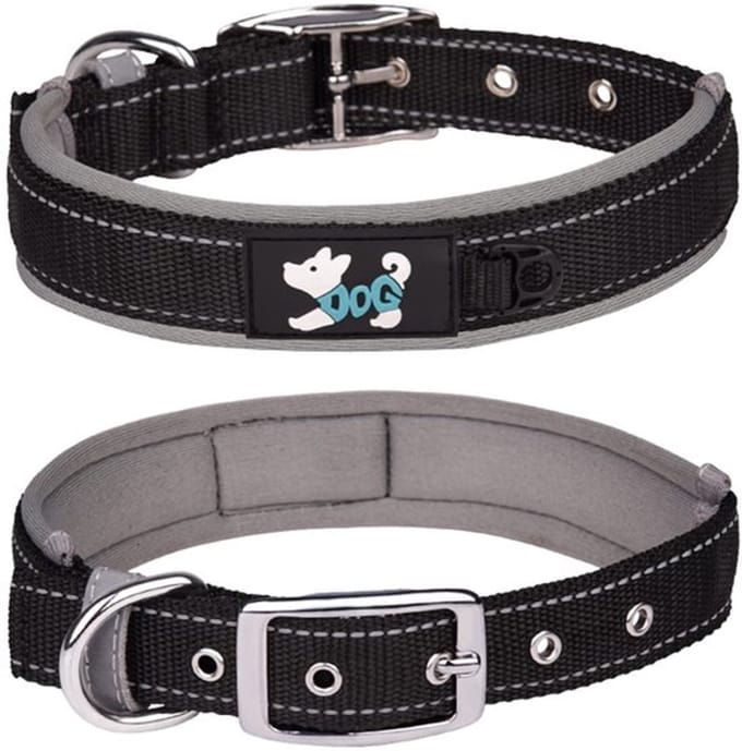 Allecto - Comfortabele hondenhalsband - Reflecterende halsband