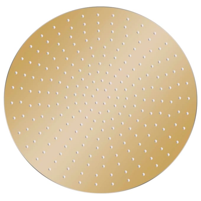 vidaXL - Regendouchekop - rond - 50 - cm - roestvrij - staal - goudkleurig
