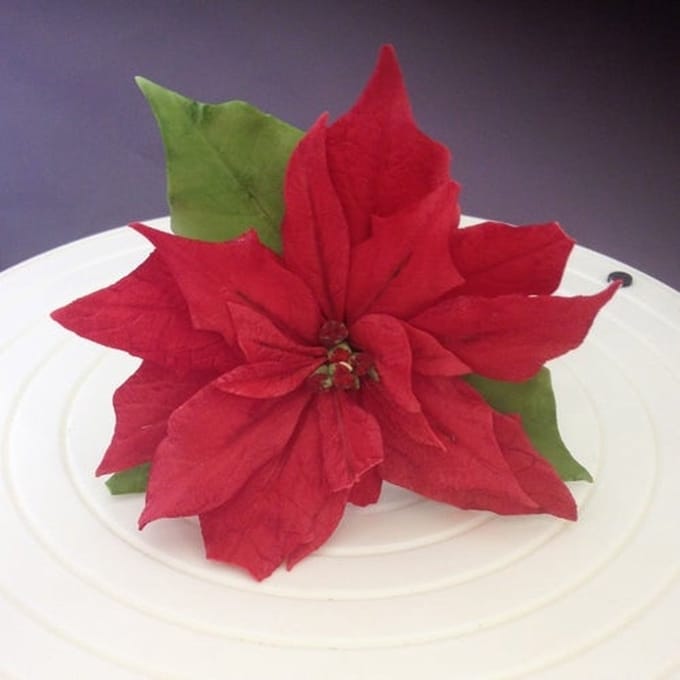 FMM Cutter Poinsettia