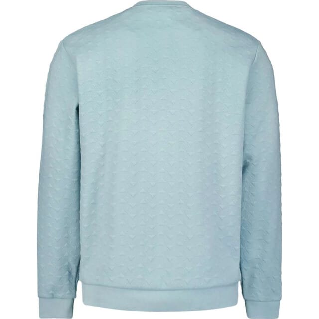 No Excess Sweater crewneck jacquard ice