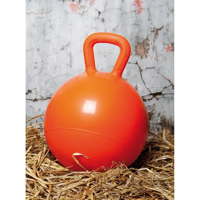 Harry´s Horse Speelbal Oranje